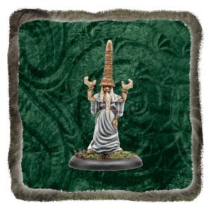 The Druid with the Big Hat