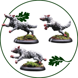 Whist Hounds (3)