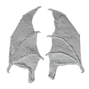 The Aedwyrm Wing Kit